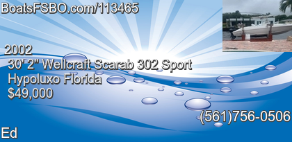 Wellcraft Scarab 302 Sport